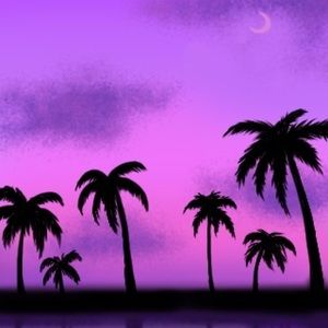 Meet your Posher, Paige